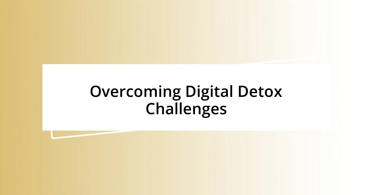 Overcoming Digital Detox Challenges